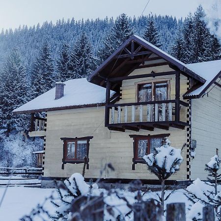 7+Я Villa Верховина Екстериор снимка