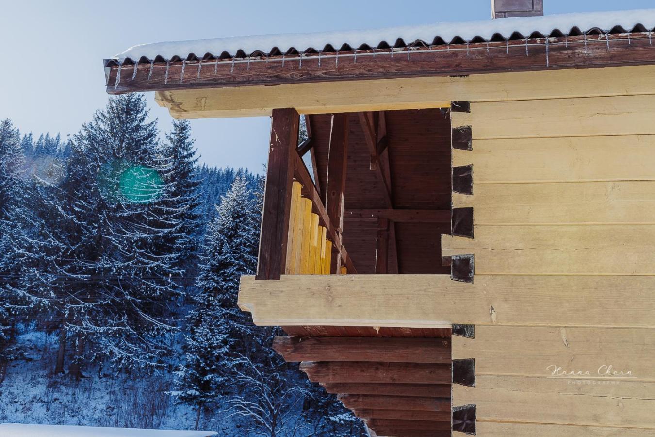 7+Я Villa Верховина Екстериор снимка